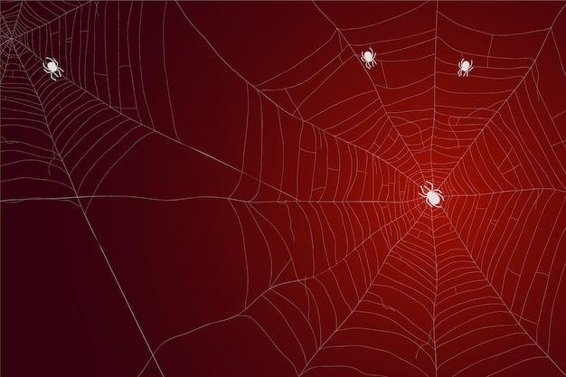 Halloween spinnenweb behang