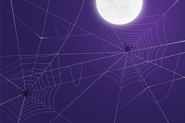 Halloween spinneweb achtergrond