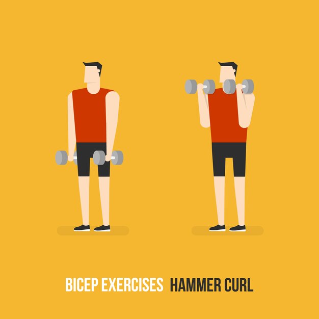 Hammer curl demostratie