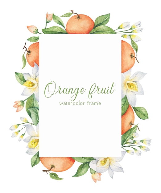 Gratis vector hand getekend aquarel oranje fruit frame