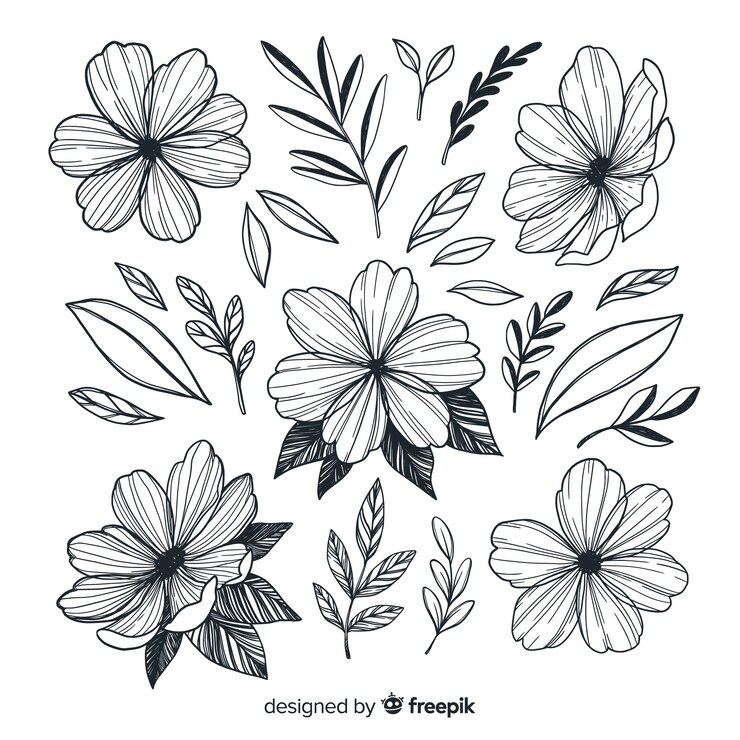 Gratis Vector hand getekend artistieke bloemen collectie