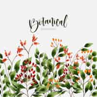 Gratis vector hand getekend botanische achtergrond