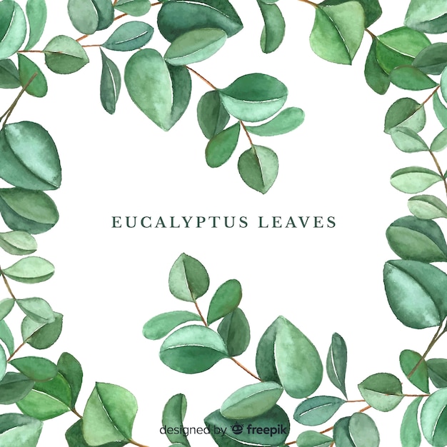 Hand getekend eucalyptus laat achtergrond