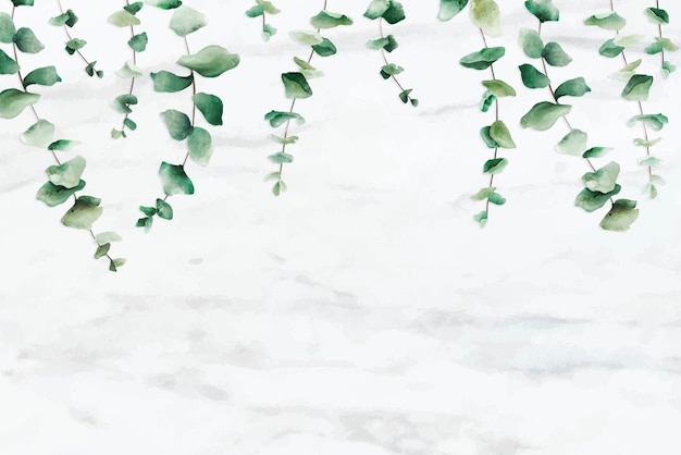 Hand getekend eucalyptusblad op witte marmeren achtergrond vector