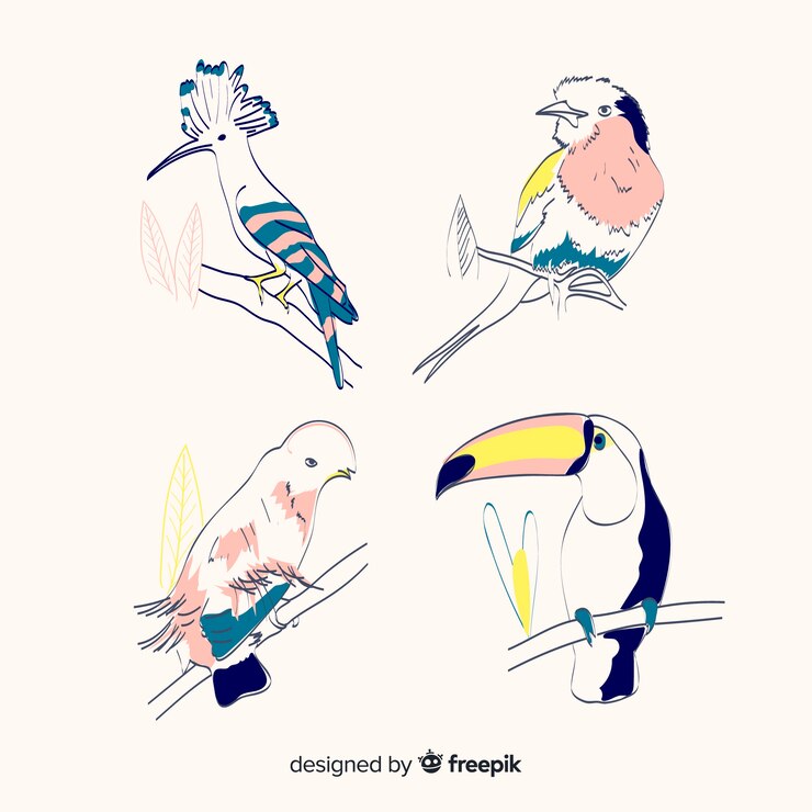 Gratis Vector hand getekend exotische vogel collectie