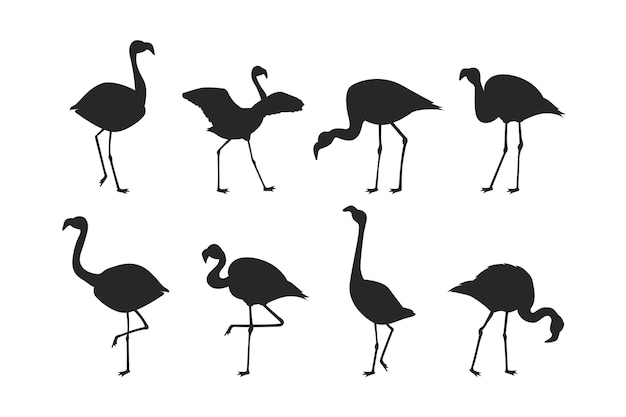 Hand getekend flamingo silhouet