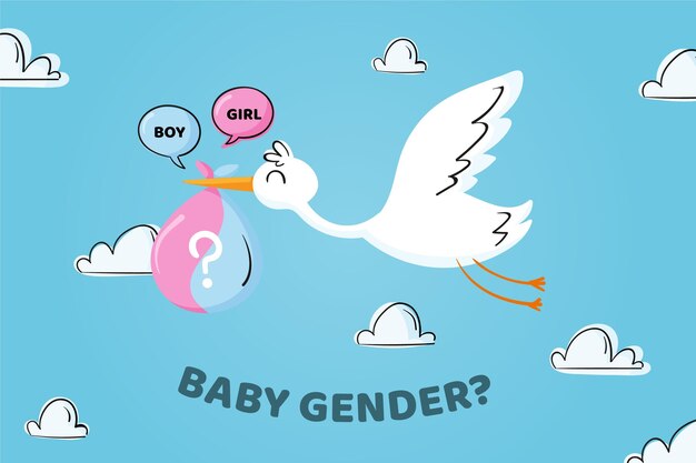 Hand getekend gender reveal concept geïllustreerd