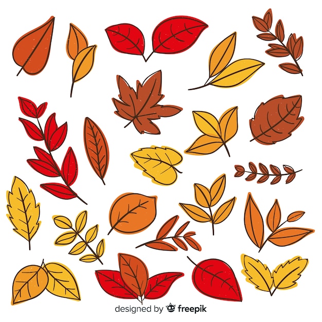 Gratis vector hand getekend herfst bos bladeren collectie