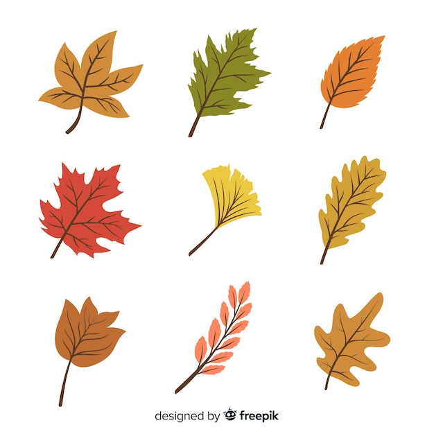 Gratis vector hand getekend herfst bos bladeren collectie