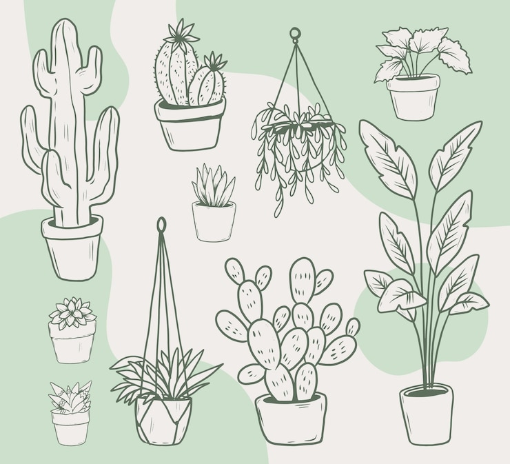 Gratis Vector hand getekend kamerplant collectie