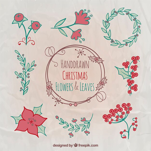 Gratis vector hand getekend kerst bloemen en bladeren