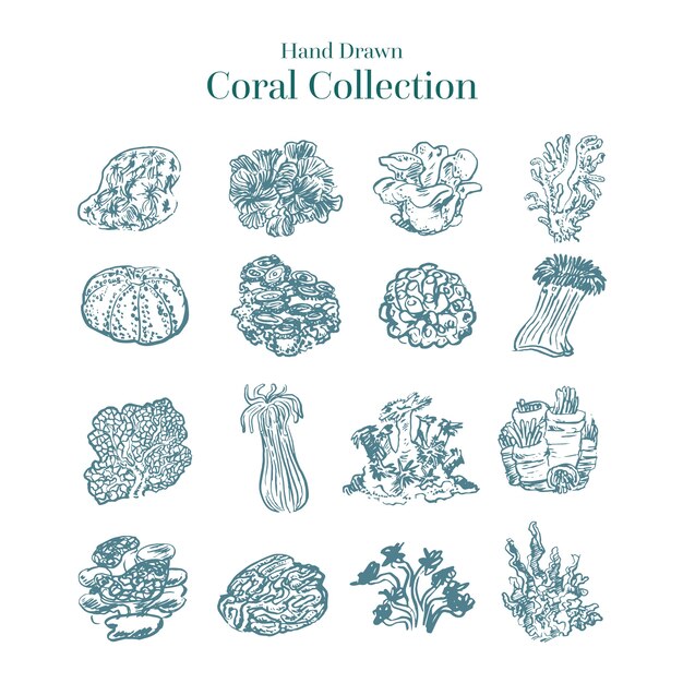 Hand getekend kleurloze koraal collectie