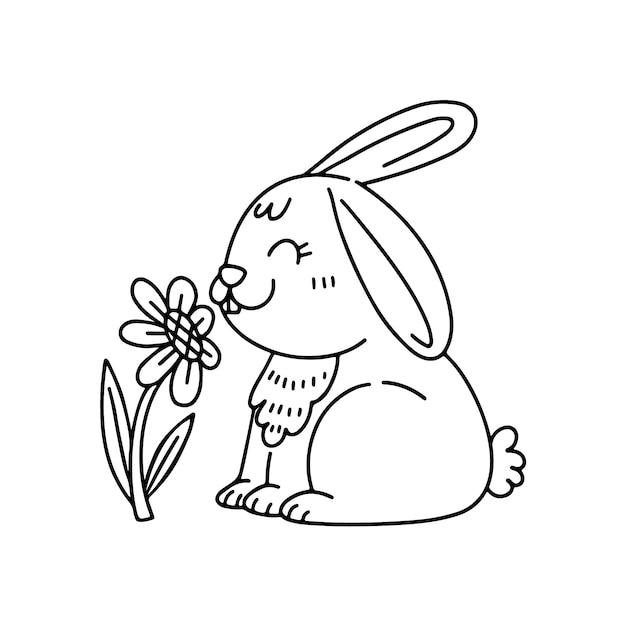 Hand getekend konijntje overzicht illustratie