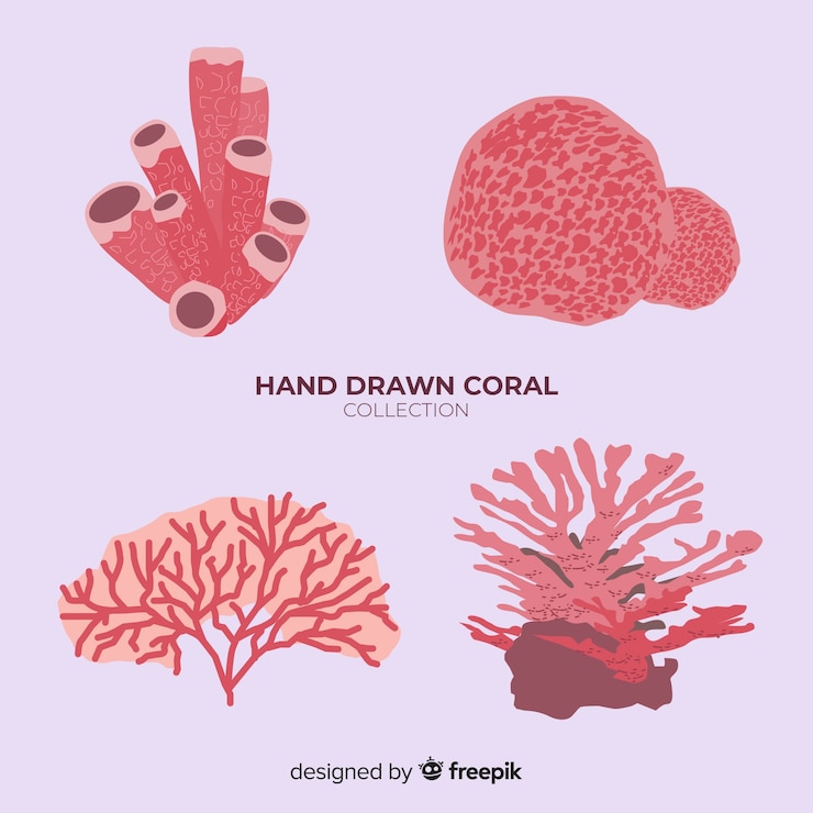Gratis Vector hand getekend koraal collectie