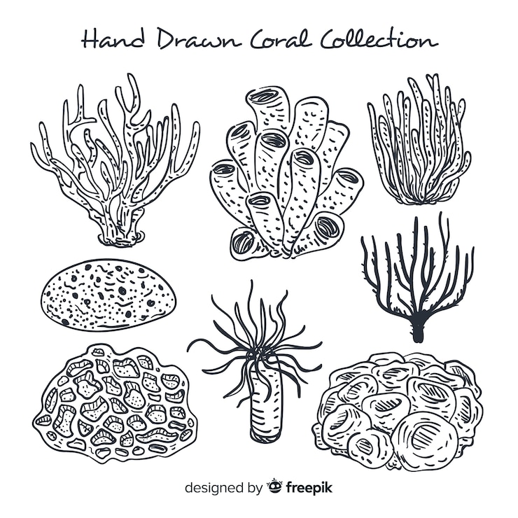 Gratis Vector hand getekend koraal collectie