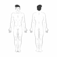 Gratis vector hand getekend menselijk lichaam schets illustratie