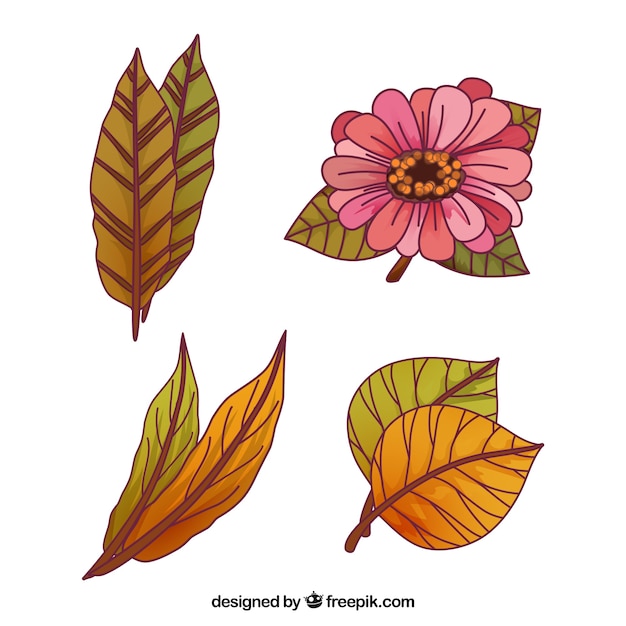 Gratis vector hand getekend pak herfstbladeren