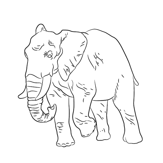 Hand getekend plat ontwerp olifant overzicht