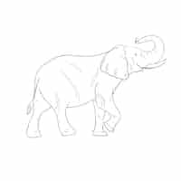 Gratis vector hand getekend plat ontwerp olifant overzicht