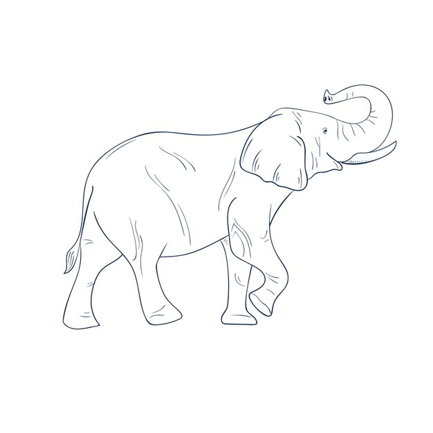 Hand getekend plat ontwerp olifant overzicht