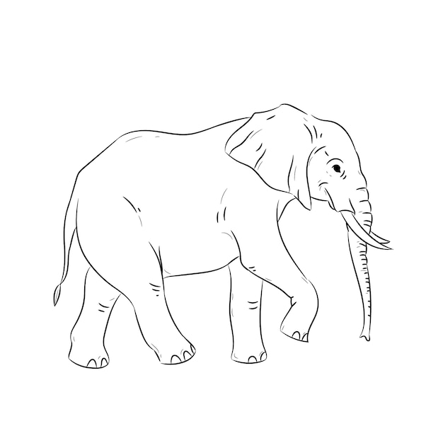 Hand getekend plat ontwerp olifant overzicht