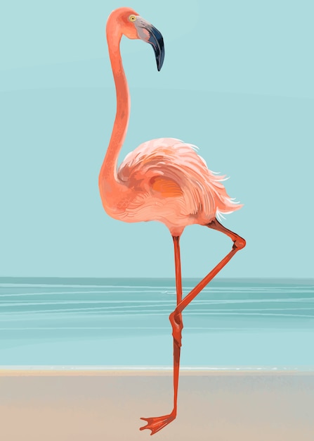 Hand getekend roze flamingo