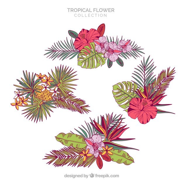 Hand getekend tropische bloem collectie