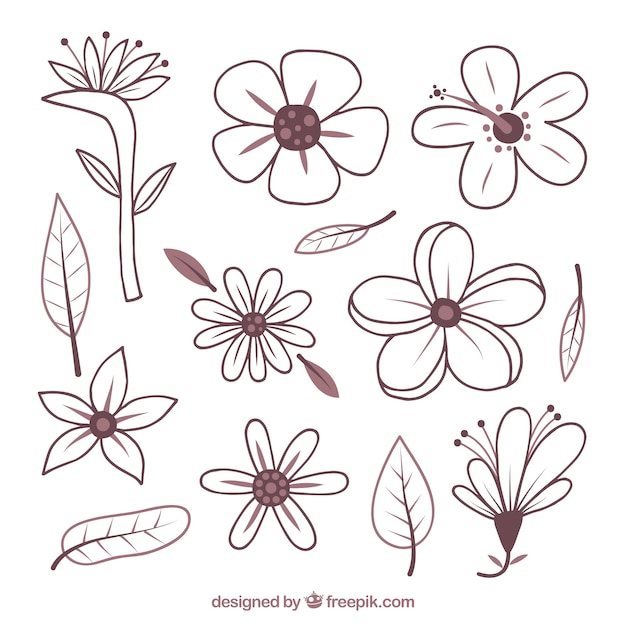 Gratis vector hand getekend tropische bloem set