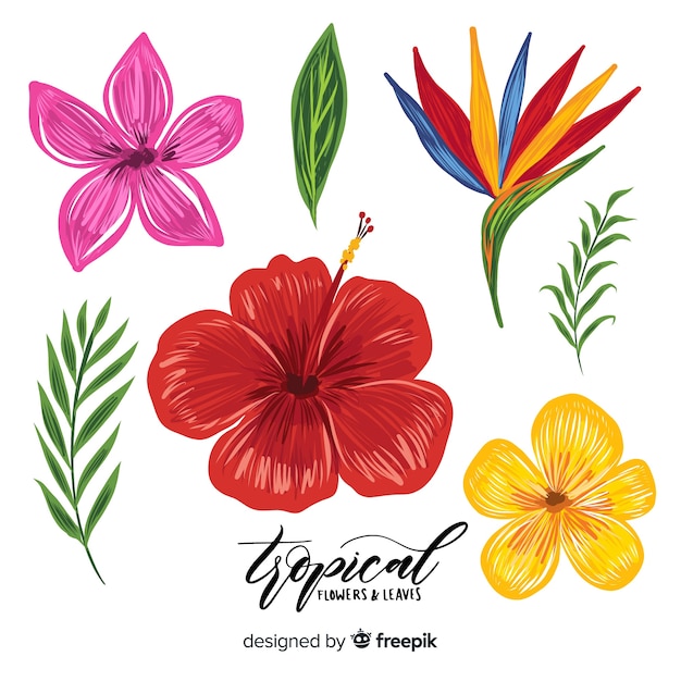 Gratis vector hand getekend tropische bloemen en bladeren