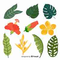 Gratis vector hand getekend tropische planten set