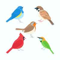 Gratis vector hand getekend vogel collectie