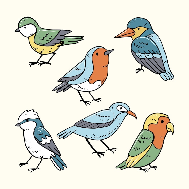 Gratis Vector hand getekend vogel collectie