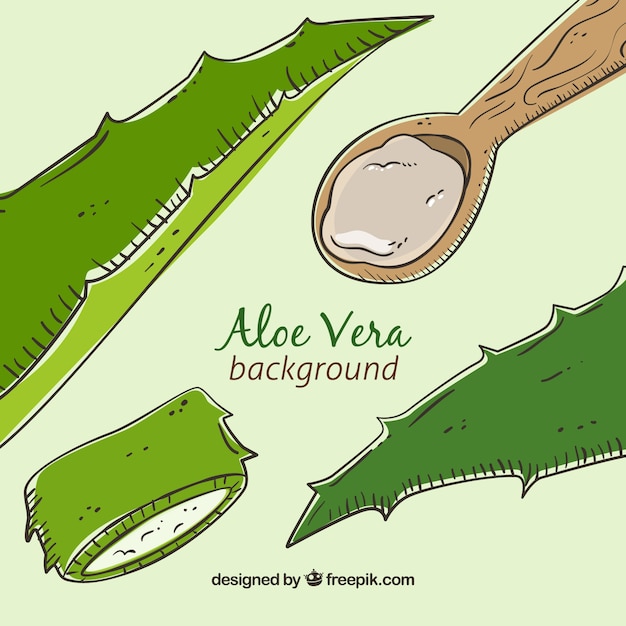 Gratis vector hand getekende aloe vera achtergrond