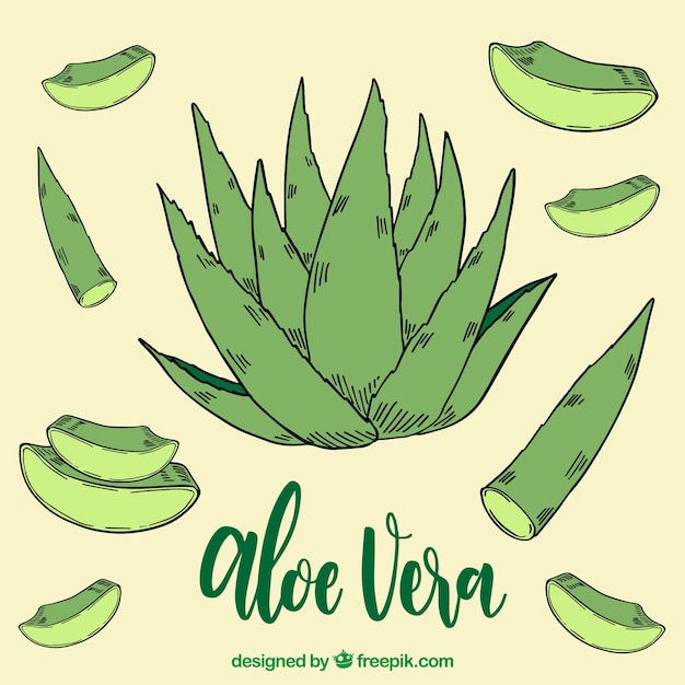 Hand getekende aloe vera achtergrond