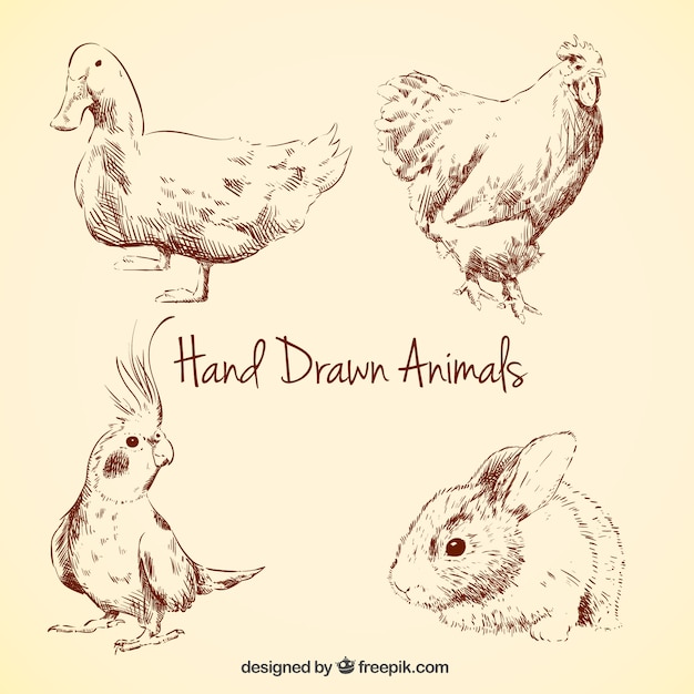 Gratis vector hand getekende dieren collectie