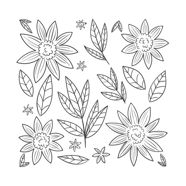 Hand getekende eenvoudige bloem overzicht illustratie
