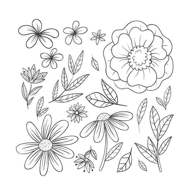 Hand getekende eenvoudige bloem overzicht illustratie