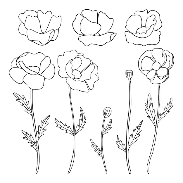 Gratis vector hand getekende eenvoudige bloem overzicht illustratie