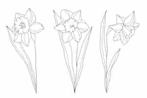 Gratis vector hand getekende eenvoudige bloem overzicht illustratie