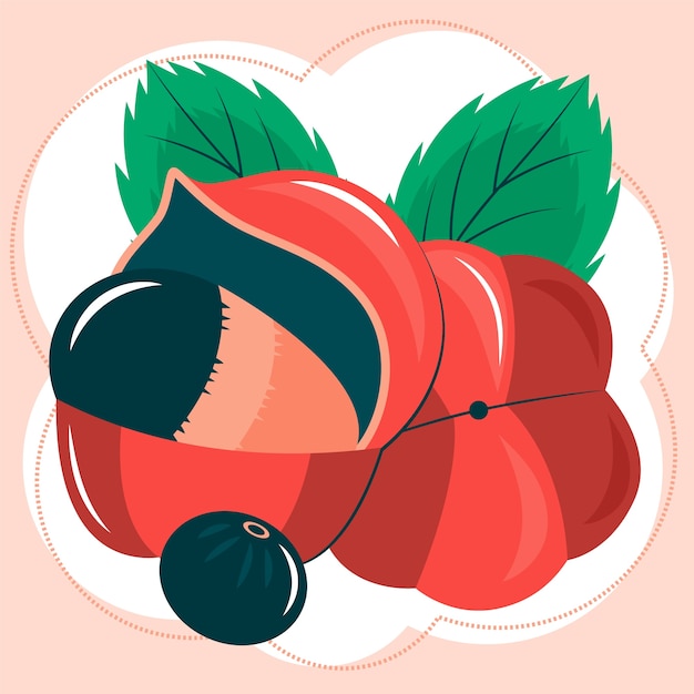 Gratis vector hand getekende guarana fruit illustratie