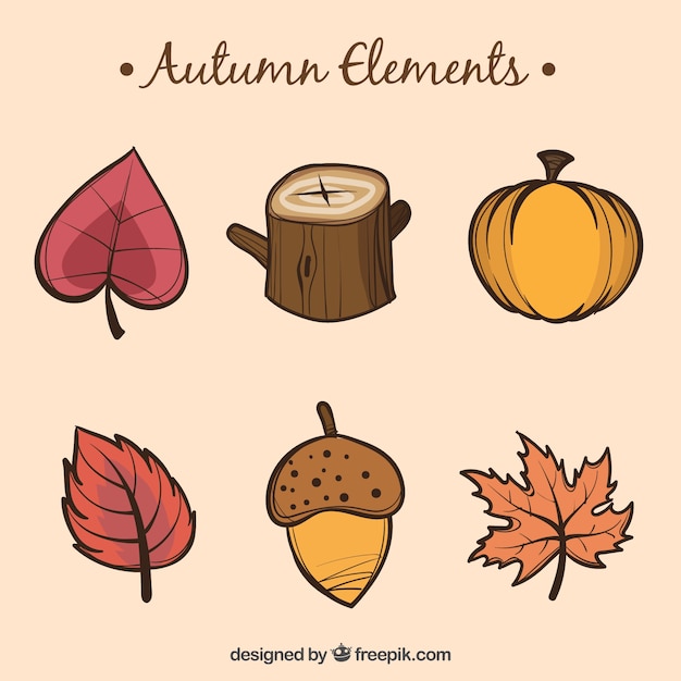 Gratis vector hand getekende herfst elementen collectie