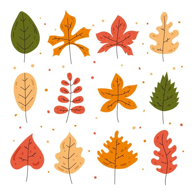 Hand getekende herfstbladeren set