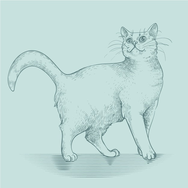 Hand getekende kat schets illustratie