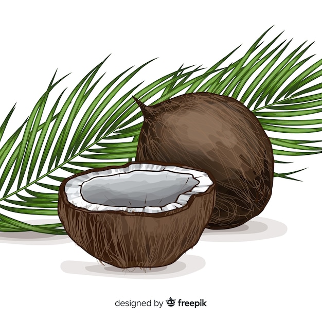 Hand getekende kokosnoot