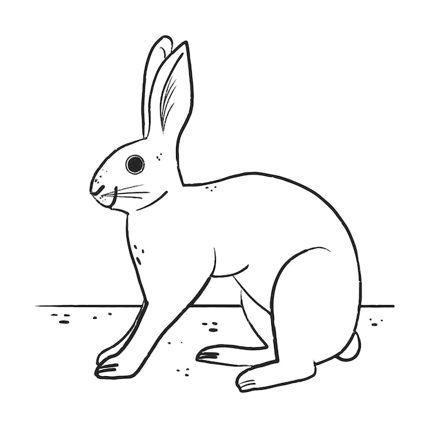 Hand getekende konijn overzicht illustratie