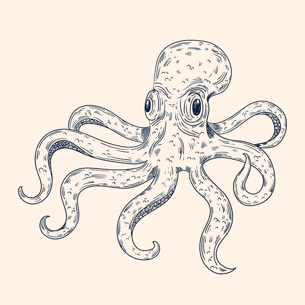 Gratis vector hand getekende octopus tekening illustratie