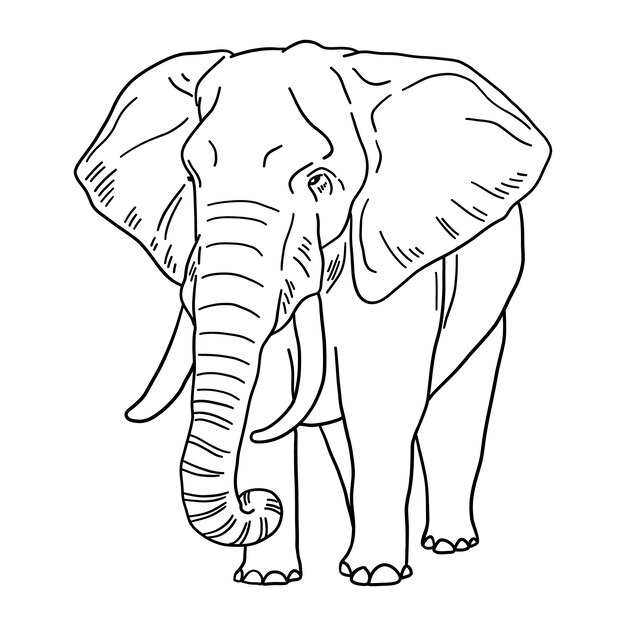 Hand getekende olifant illustratie