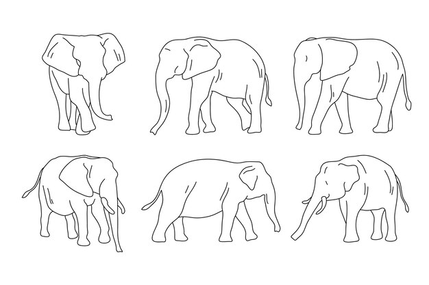 Hand getekende olifant schets illustratie