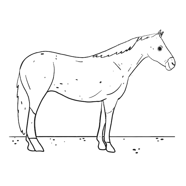 Gratis vector hand getekende paard schets illustratie