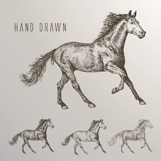Hand getekende paarden collectie